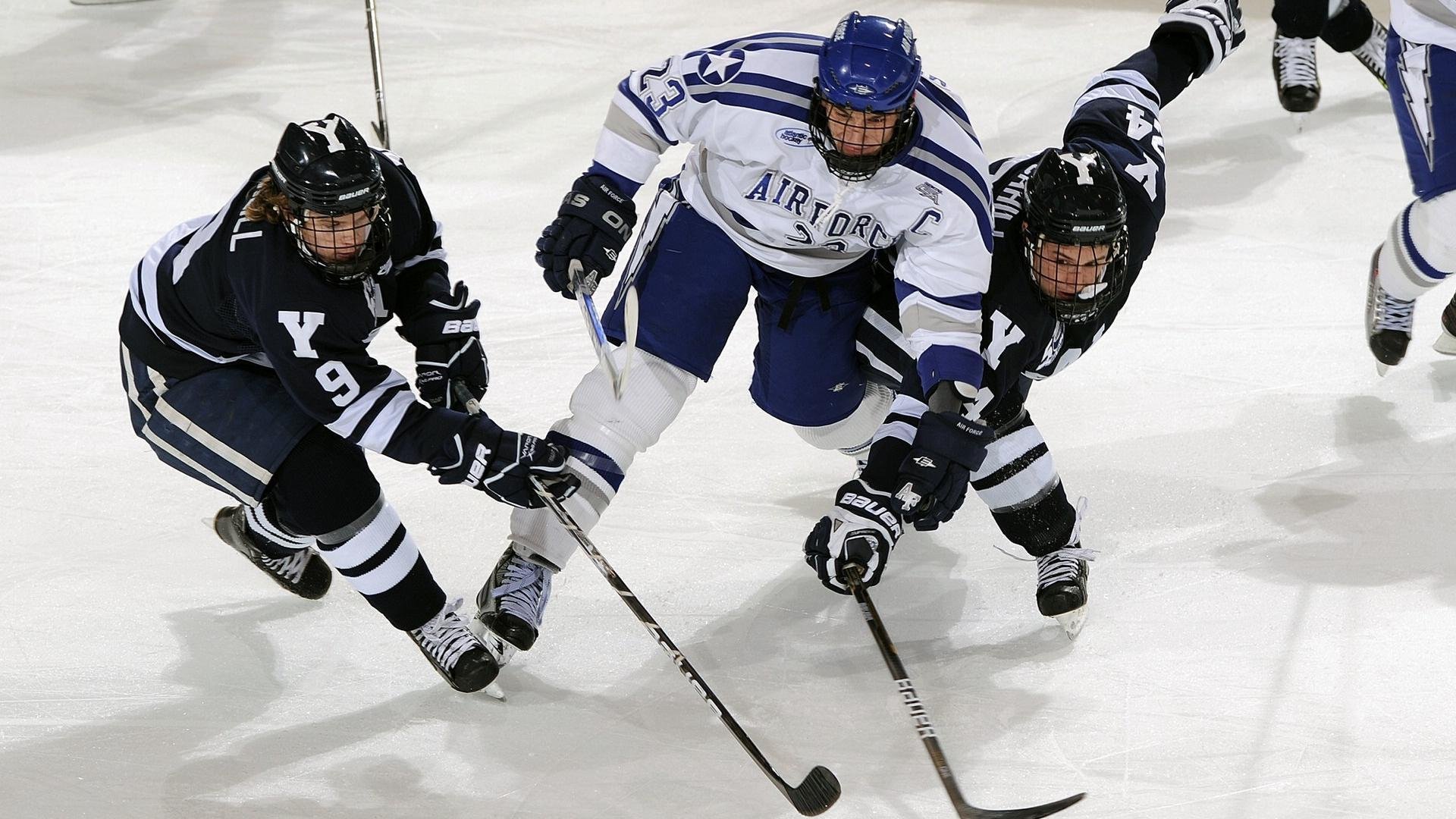开云·体育官网-球迷投票：想象中“理想”NBA阵容
