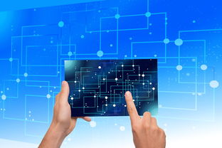 开云体育平台-中国篮球教练员执教能力提升路径研究，中国篮球教练员岗位培训a级教程书籍